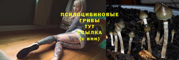 mix Дмитров
