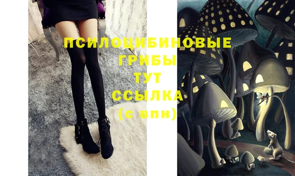 дмт Гусиноозёрск