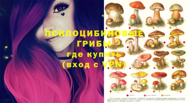 прущие крисы Гусь-Хрустальный