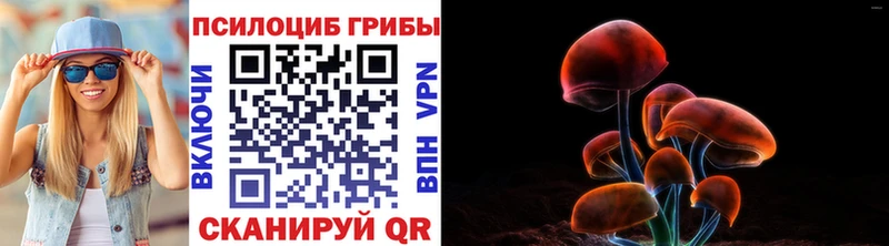 Псилоцибиновые грибы мицелий  Купить  Камешково 